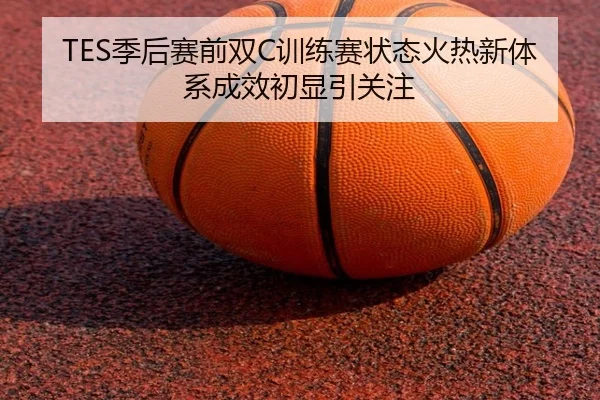 TES季后赛前双C训练赛状态火热新体系成效初显引关注 - mksports